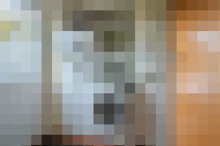 Kapiteinspark 26 Veendam thumbnail 21