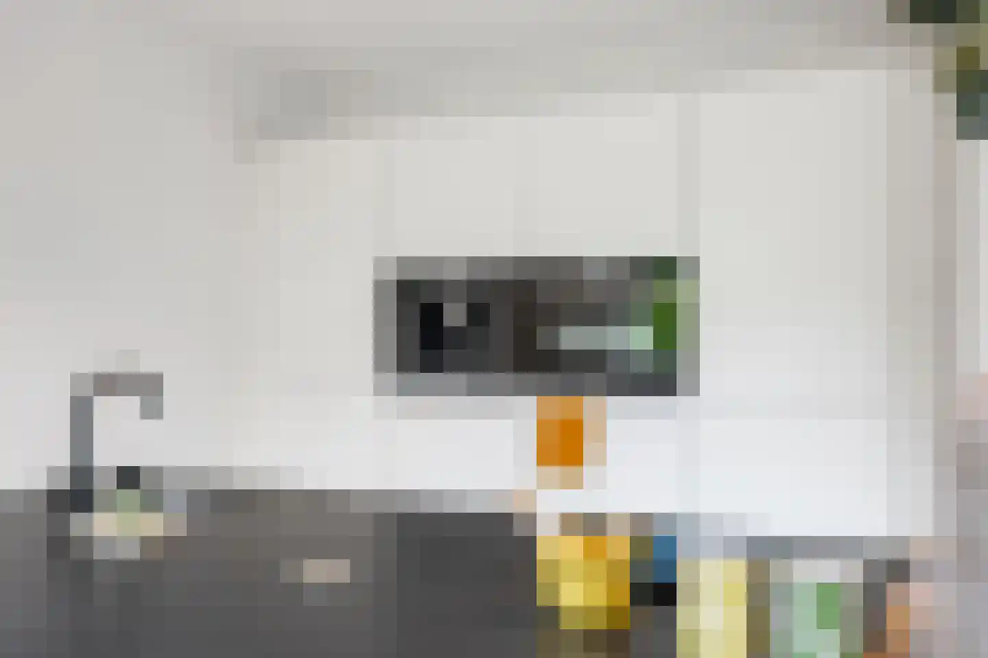 Kapiteinspark 26 Veendam thumbnail 31