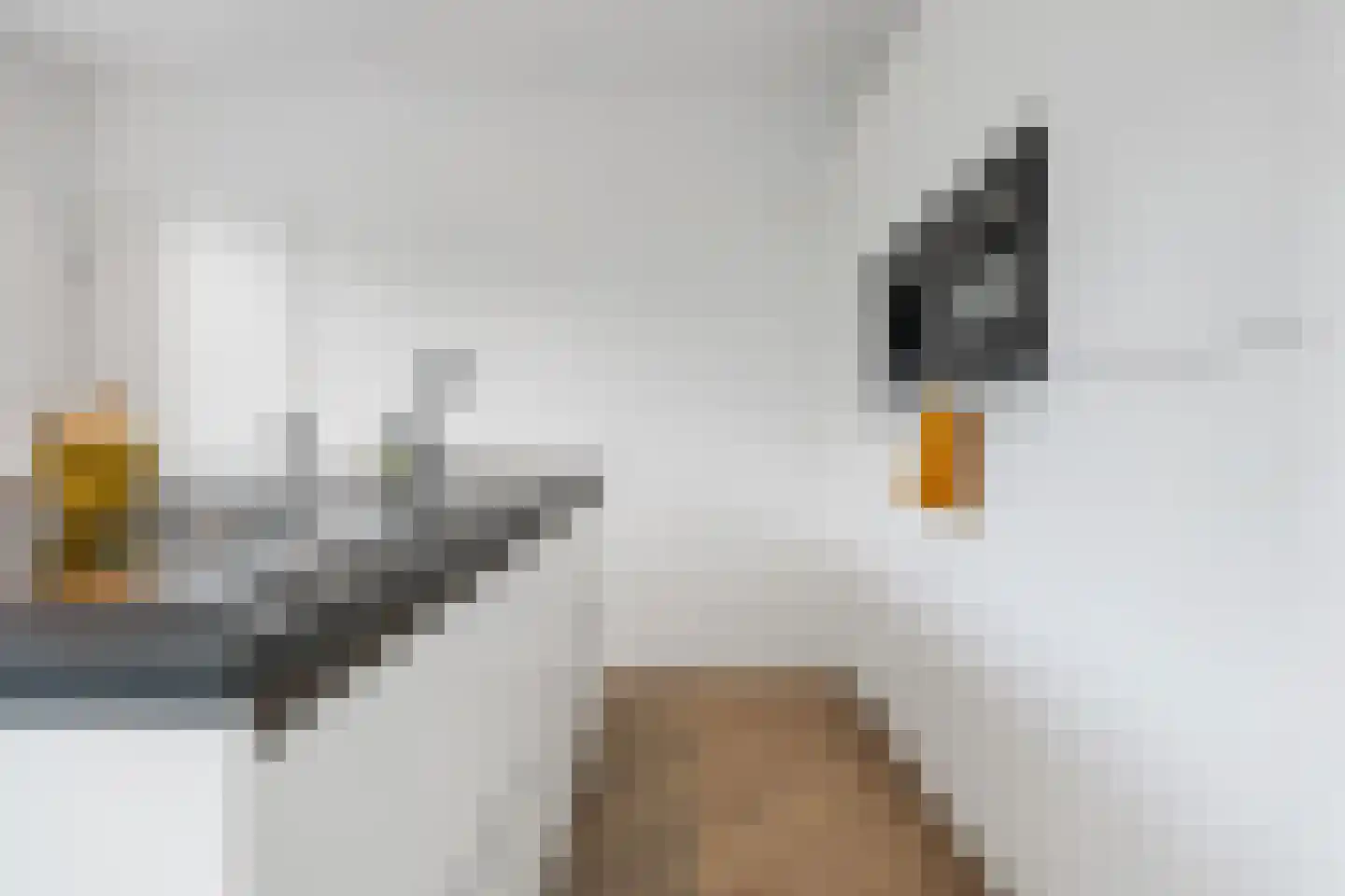 Kapiteinspark 26 Veendam thumbnail 32
