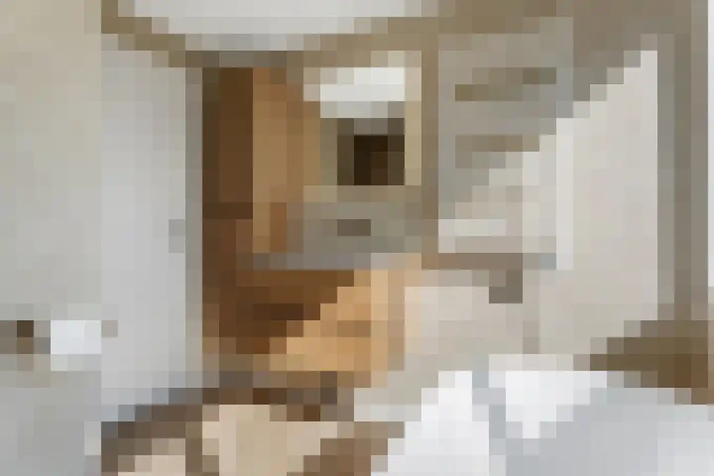 Kapiteinspark 26 Veendam thumbnail 37