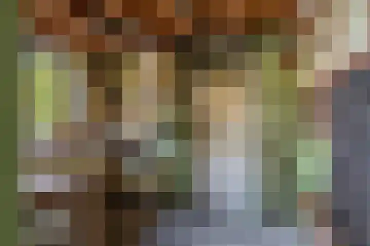 Kapiteinspark 26 Veendam thumbnail 46