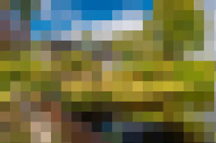 Kapiteinspark 26 Veendam thumbnail 49