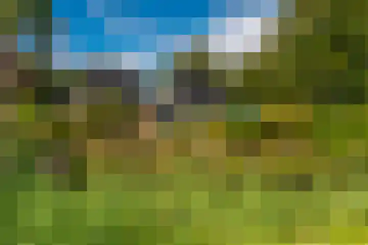Kapiteinspark 26 Veendam thumbnail 50