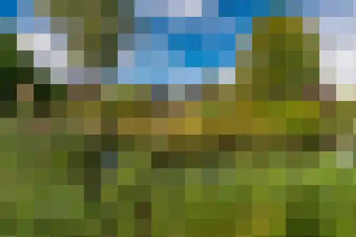 Kapiteinspark 26 Veendam thumbnail 51
