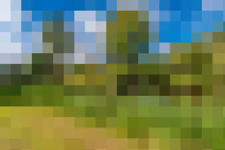 Kapiteinspark 26 Veendam thumbnail 52