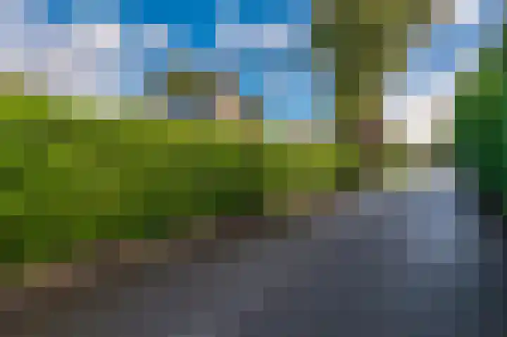 Kapiteinspark 26 Veendam thumbnail 54