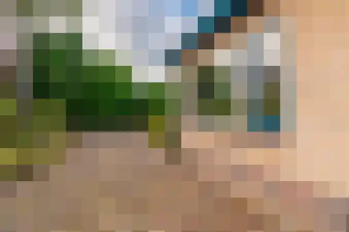 Kapiteinspark 26 Veendam thumbnail 57