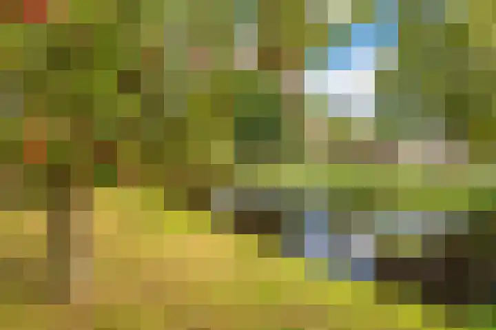 Kapiteinspark 26 Veendam thumbnail 59