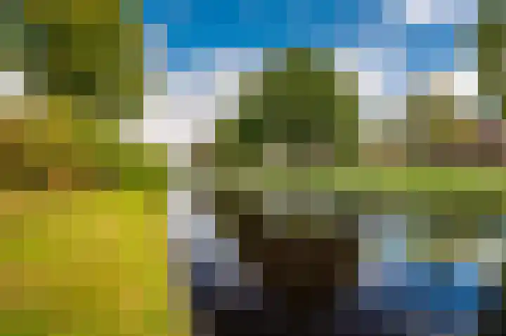 Kapiteinspark 26 Veendam thumbnail 60