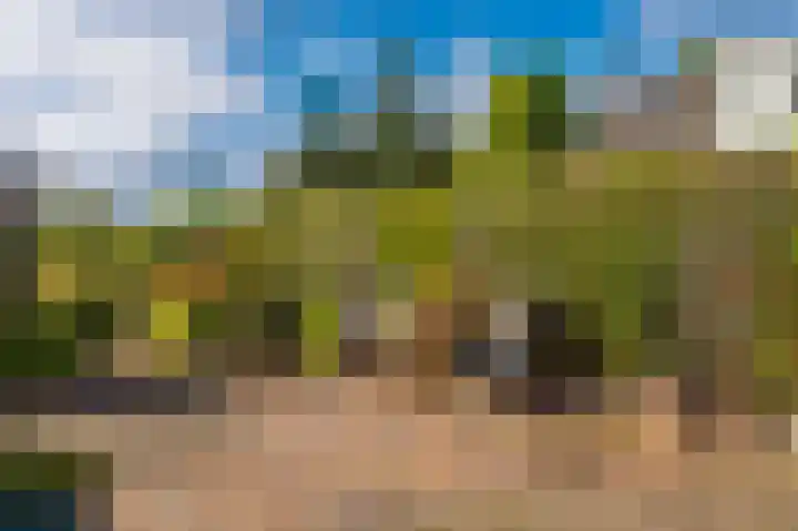 Kapiteinspark 26 Veendam thumbnail 64