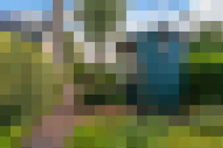 Kapiteinspark 26 Veendam thumbnail 66