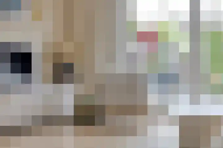 Kapiteinstraat 10 Huissen thumbnail 11