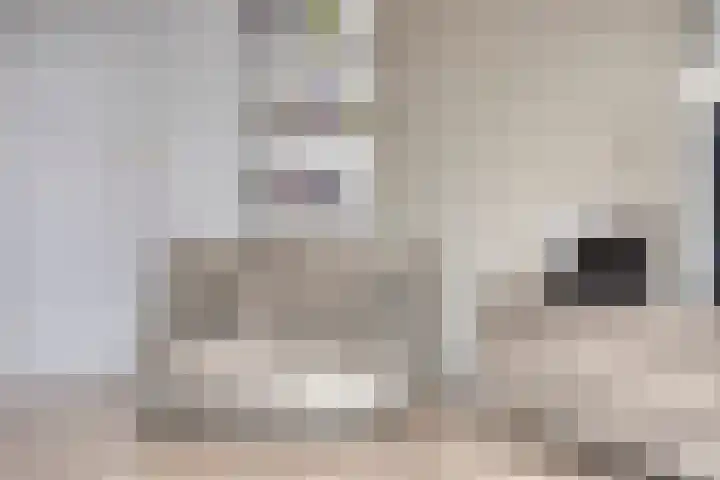 Kapiteinstraat 10 Huissen thumbnail 13