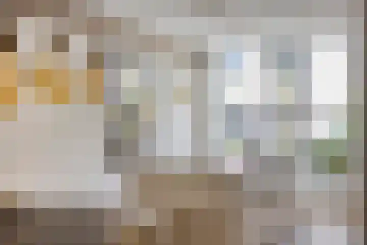 Kapiteinstraat 10 Huissen thumbnail 15