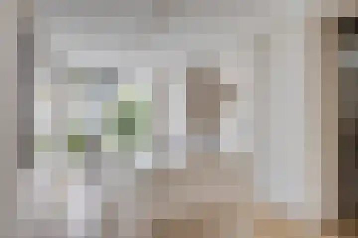 Kapiteinstraat 10 Huissen thumbnail 20