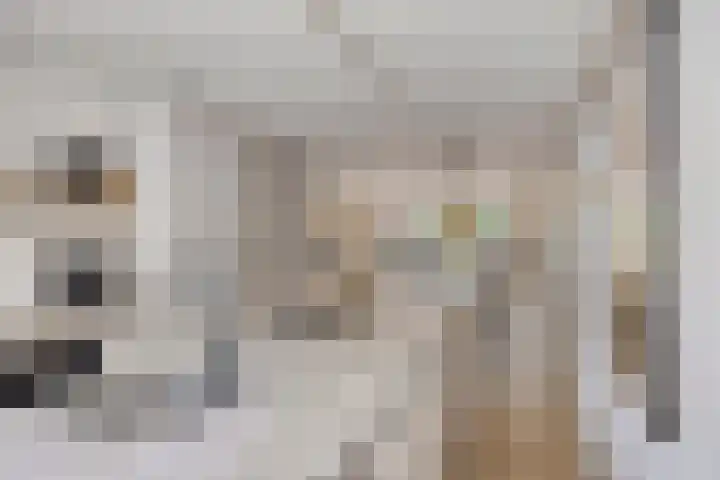 Kapiteinstraat 10 Huissen thumbnail 22