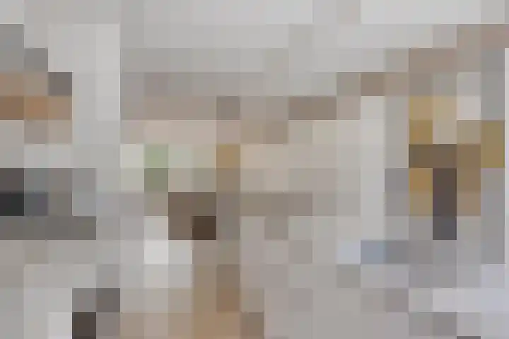 Kapiteinstraat 10 Huissen thumbnail 23