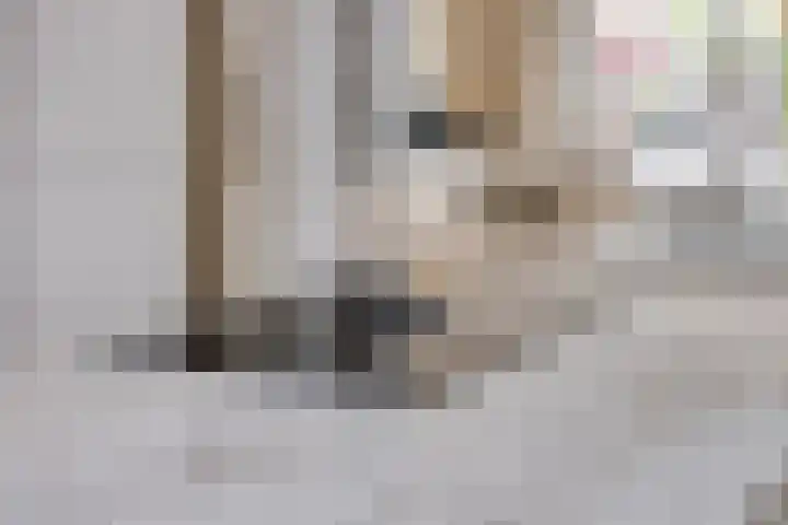 Kapiteinstraat 10 Huissen thumbnail 25