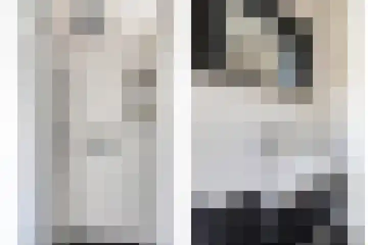 Kapiteinstraat 10 Huissen thumbnail 31