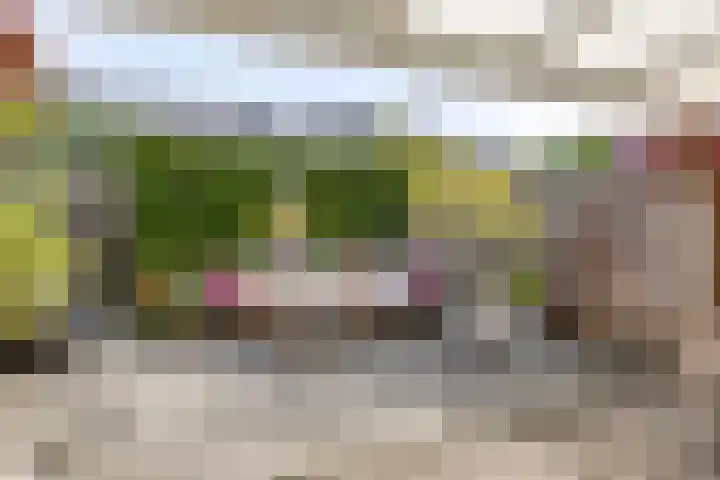 Kapiteinstraat 10 Huissen thumbnail 37