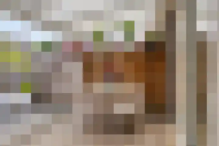 Kapiteinstraat 10 Huissen thumbnail 38