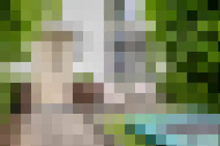 Kapiteinstraat 10 Huissen thumbnail 4