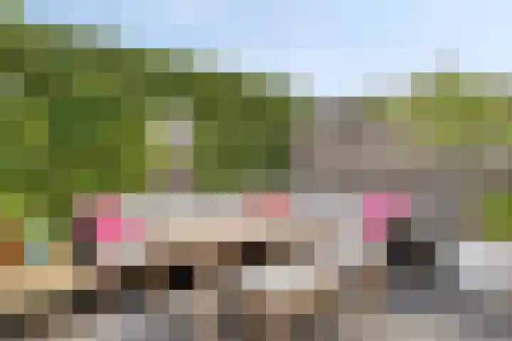 Kapiteinstraat 10 Huissen thumbnail 41
