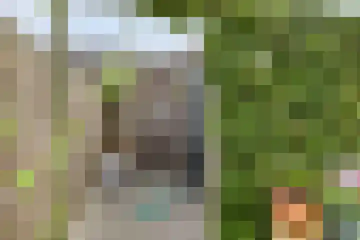 Kapiteinstraat 10 Huissen thumbnail 46