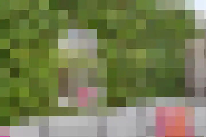 Kapiteinstraat 10 Huissen thumbnail 47