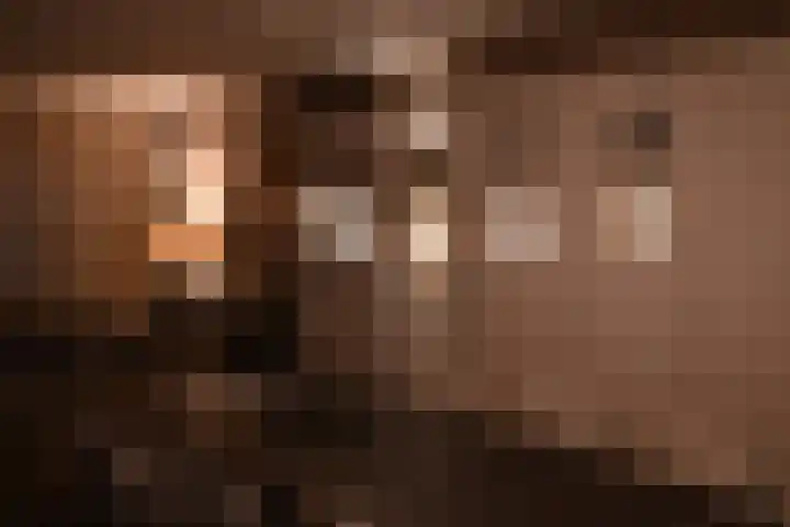 Kapiteinstraat 10 Huissen thumbnail 49
