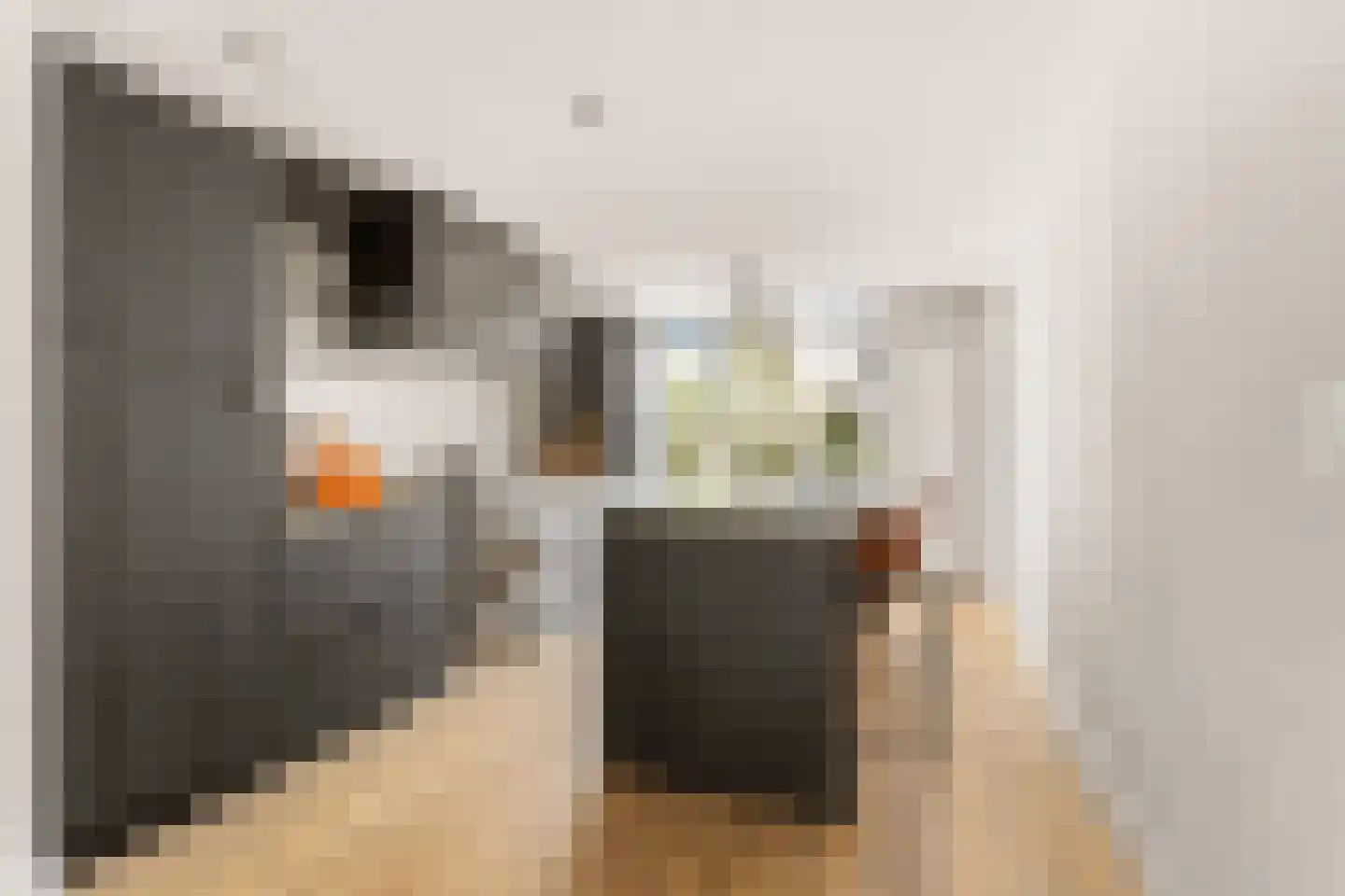Kapiteinstraat 12 Huissen thumbnail 17