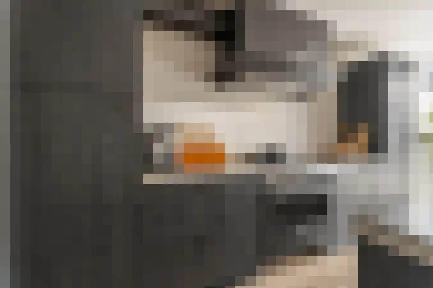 Kapiteinstraat 12 Huissen thumbnail 18