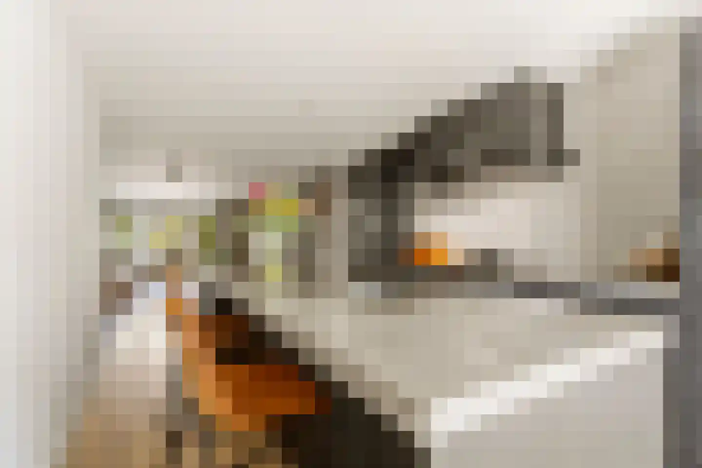 Kapiteinstraat 12 Huissen thumbnail 22