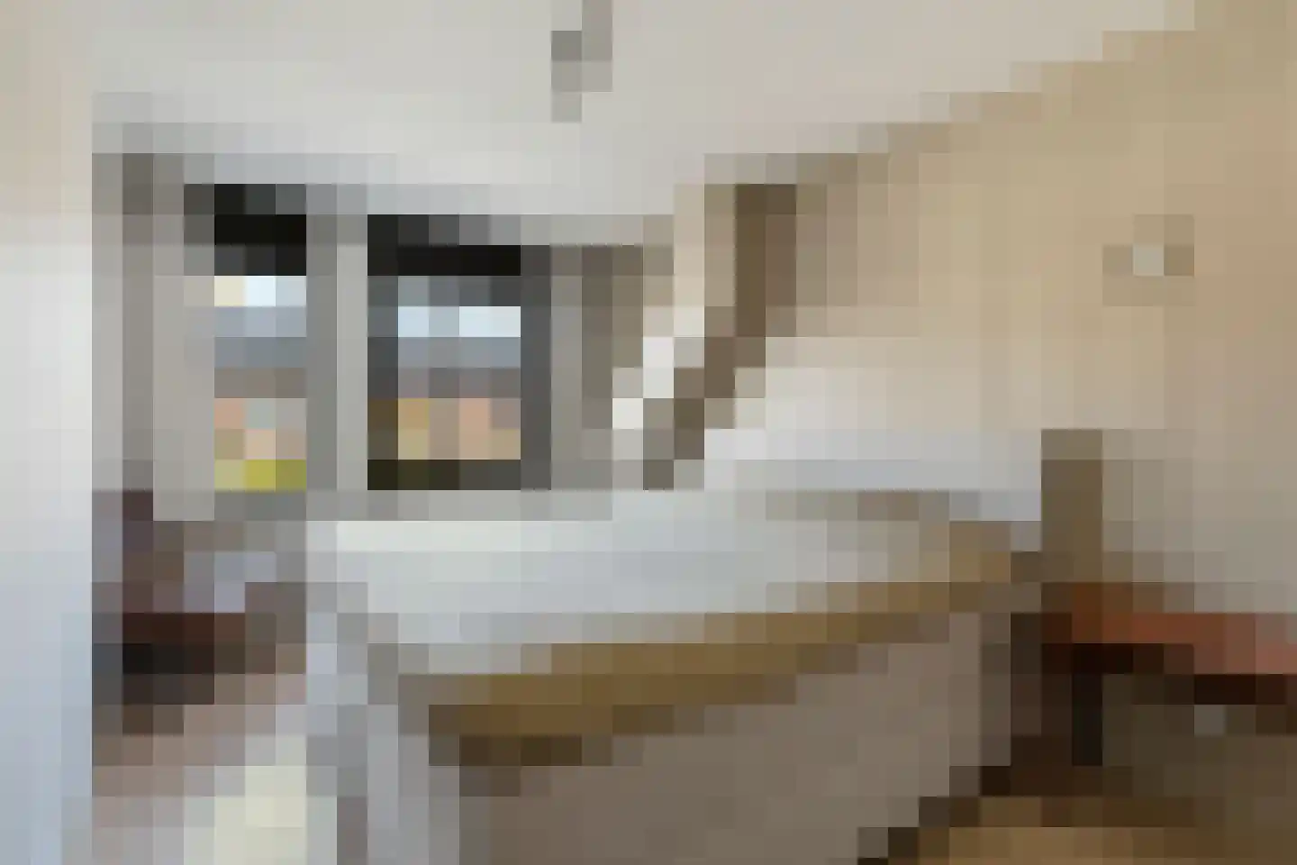Kapiteinstraat 12 Huissen thumbnail 26