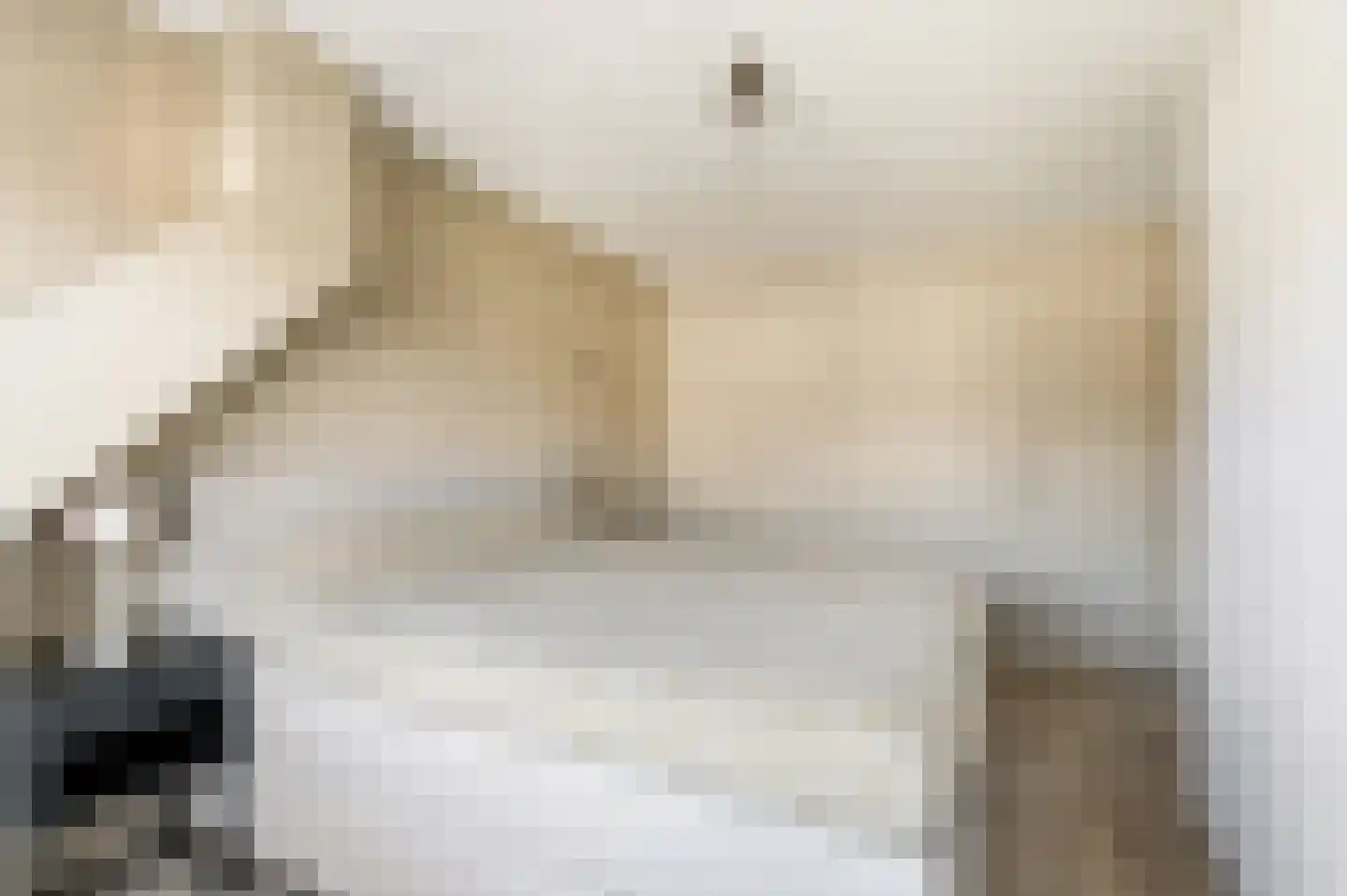 Kapiteinstraat 12 Huissen thumbnail 27