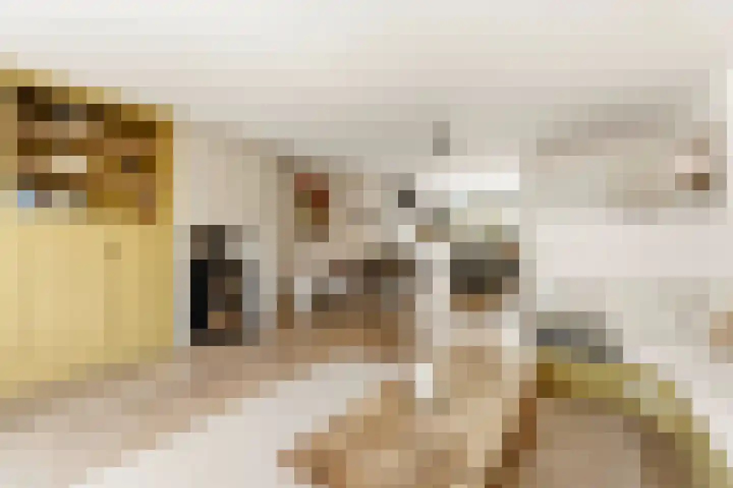 Kapiteinstraat 12 Huissen thumbnail 31