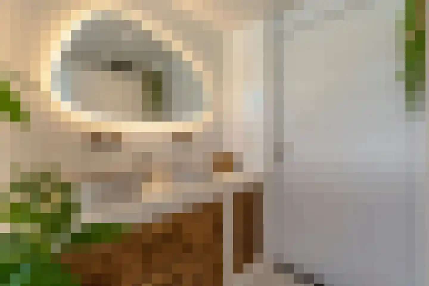 Kapiteinstraat 12 Huissen thumbnail 37
