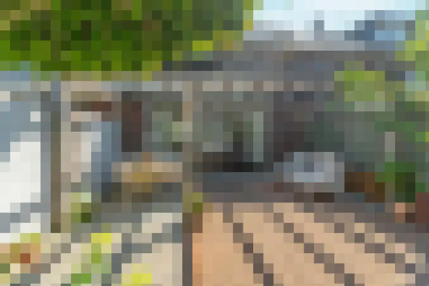 Kapiteinstraat 12 Huissen thumbnail 50