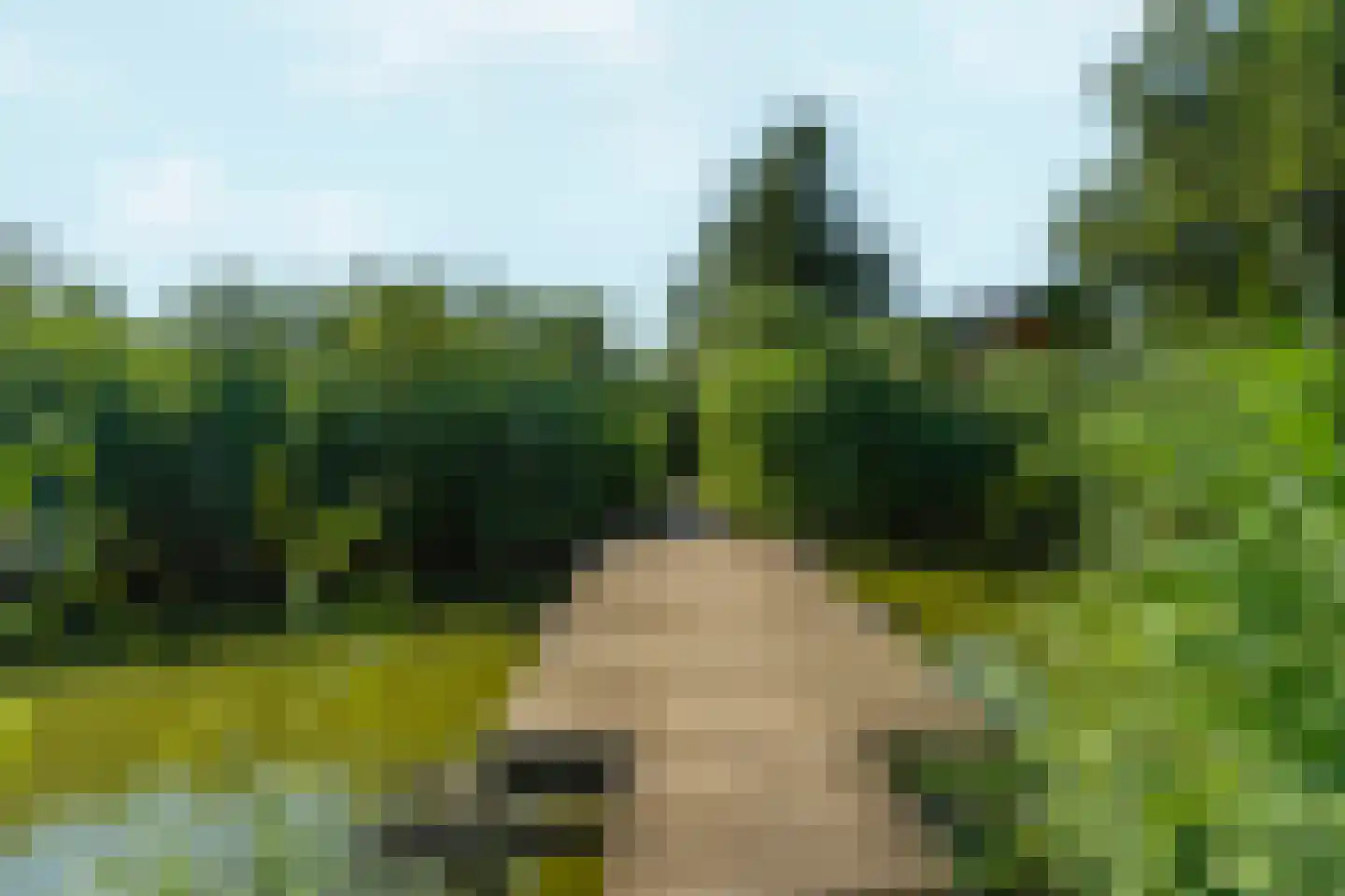 Kapiteinstraat 12 Huissen thumbnail 62