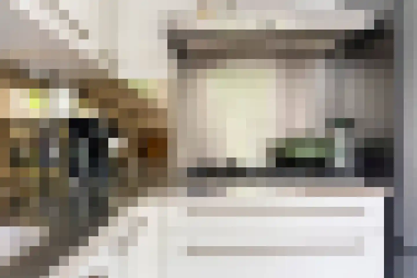 Kapiteinstraat 4 Huissen thumbnail 14