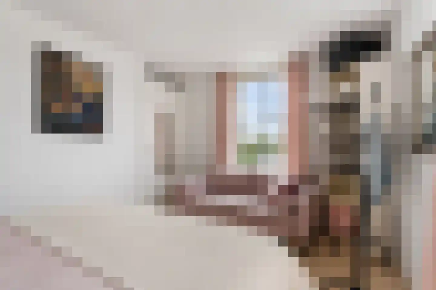 Kapiteinstraat 4 Huissen thumbnail 21