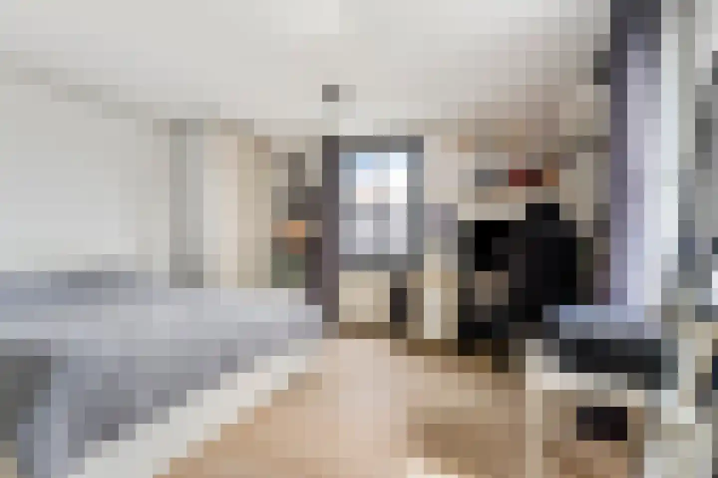 Kapiteinstraat 4 Huissen thumbnail 30