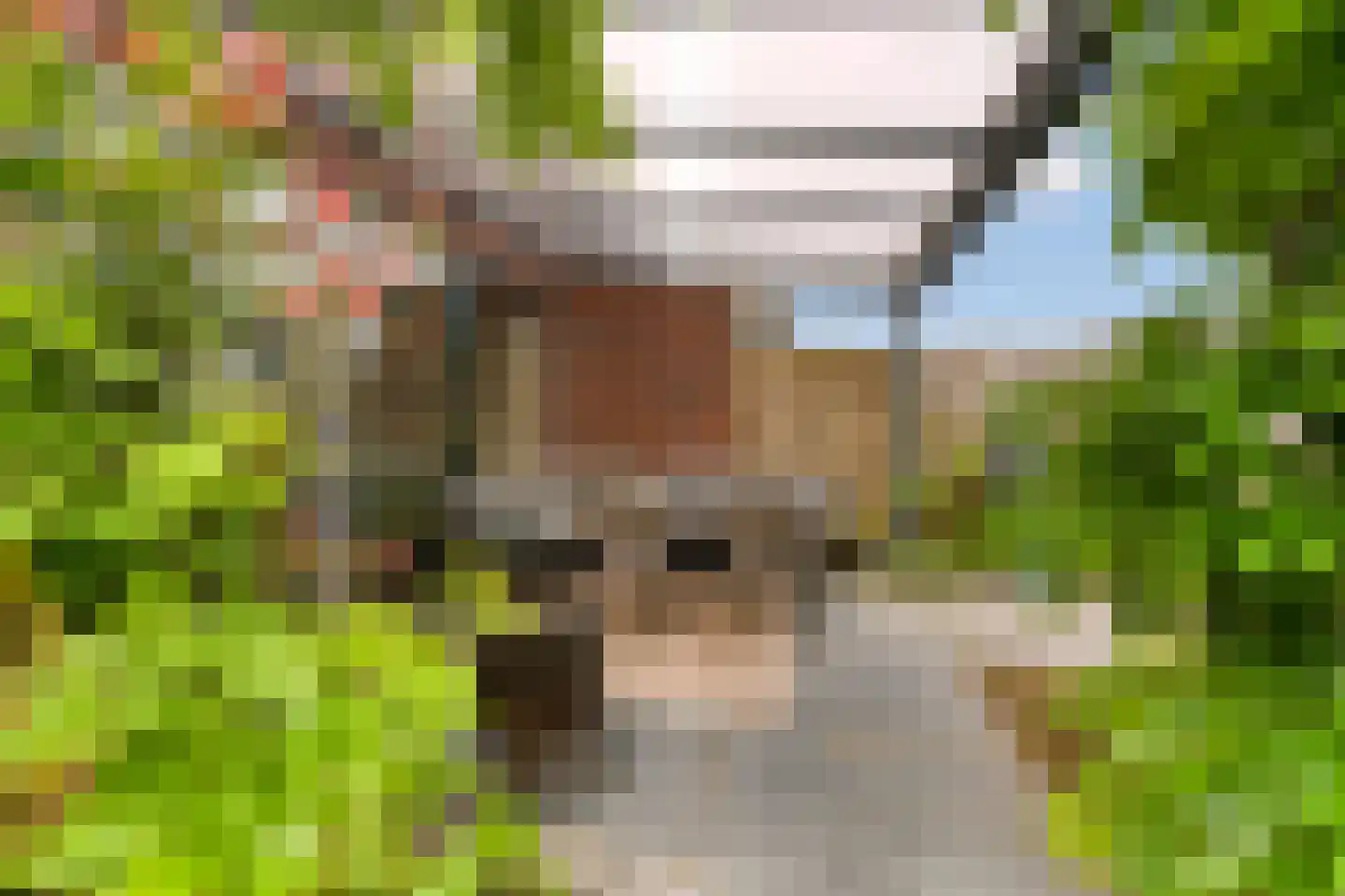 Kapiteinstraat 4 Huissen thumbnail 38