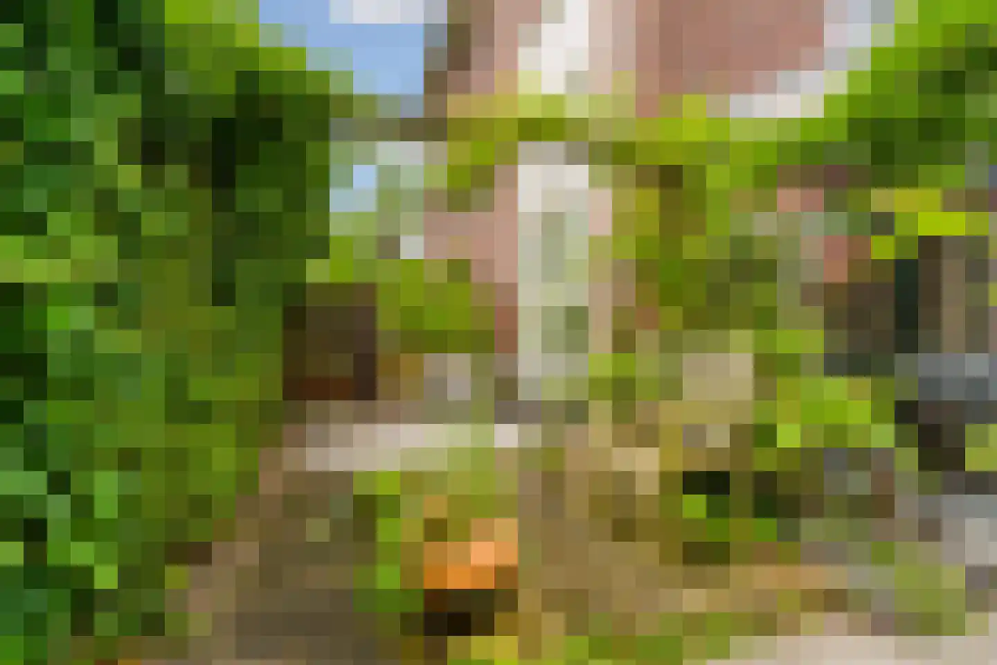 Kapiteinstraat 4 Huissen thumbnail 39