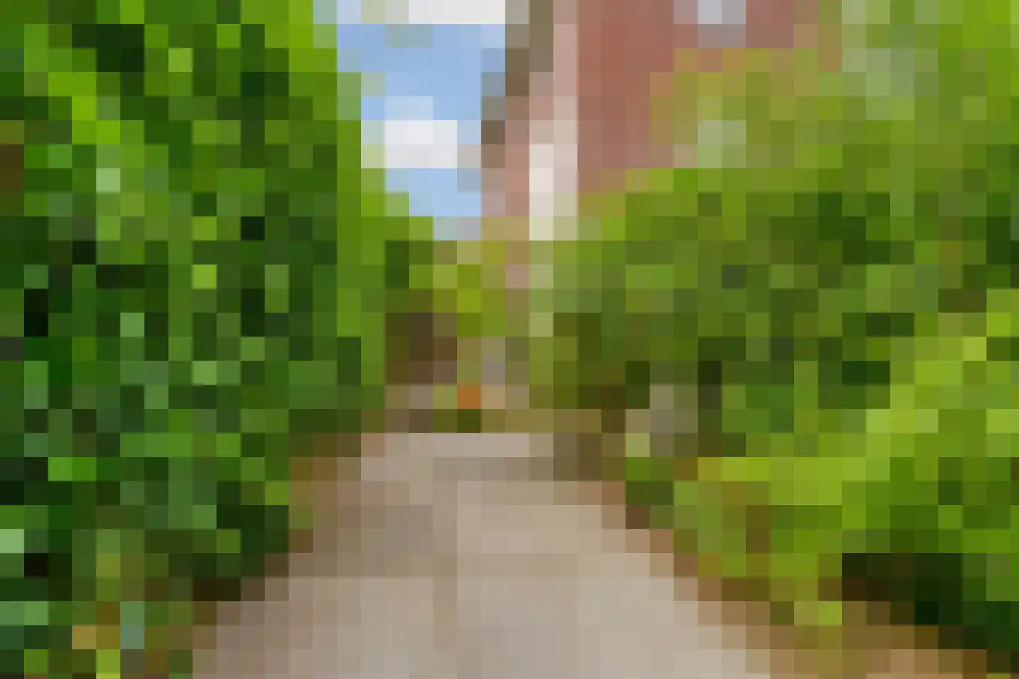 Kapiteinstraat 4 Huissen thumbnail 42