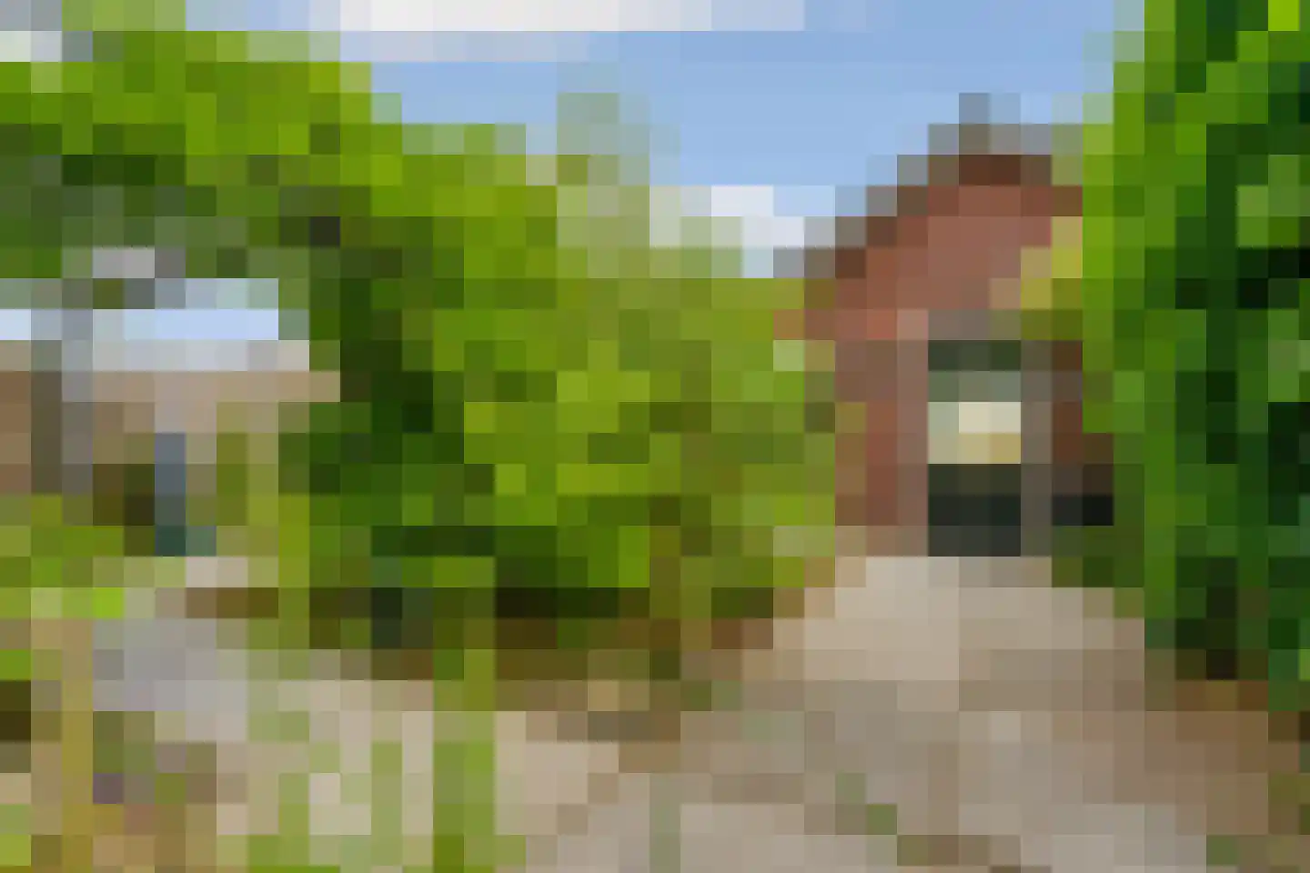 Kapiteinstraat 4 Huissen thumbnail 43