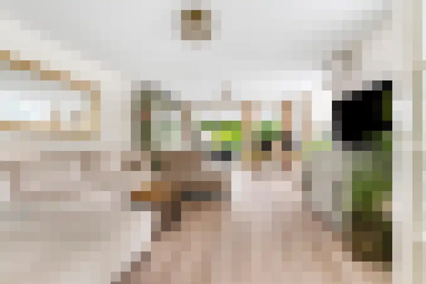 Kapiteinstraat 4 Huissen thumbnail 5