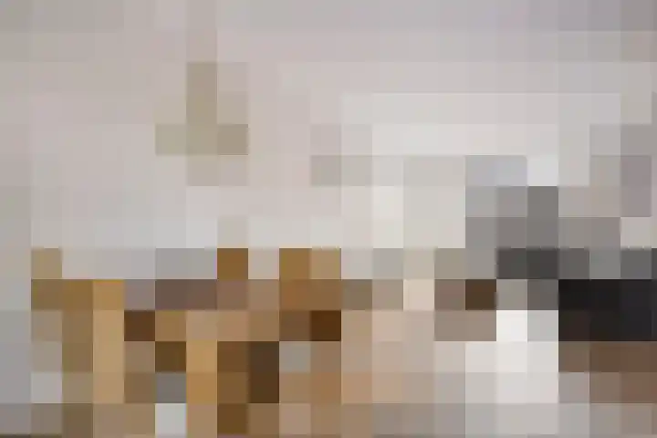 Kapittel 22 Grootebroek thumbnail 11