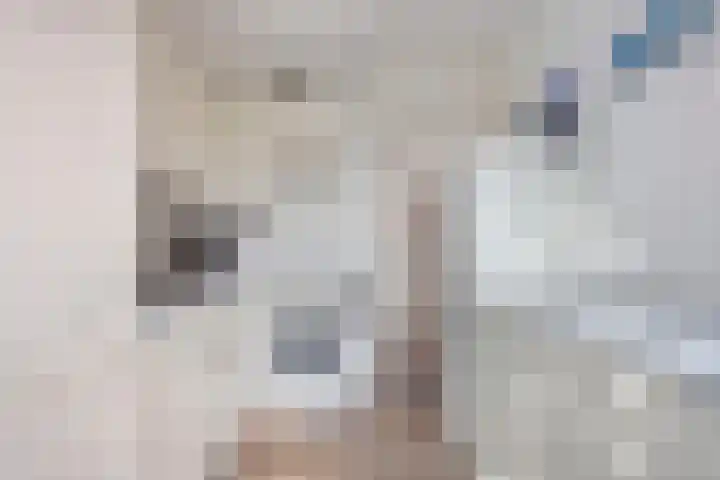 Kapittel 22 Grootebroek thumbnail 12