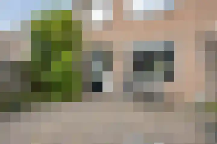 Kapittel 22 Grootebroek thumbnail 24
